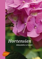 Hortensien BlüTenbäLle Pastell 30Cm Kunstblumen Deko KüNstliche Pflanzen