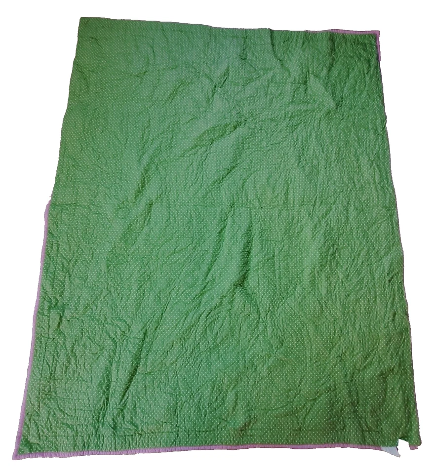 Apliques de retazos Pottery Barn Kids DOBLE edredón mariposas flores rosa verde Foto 2 de 4