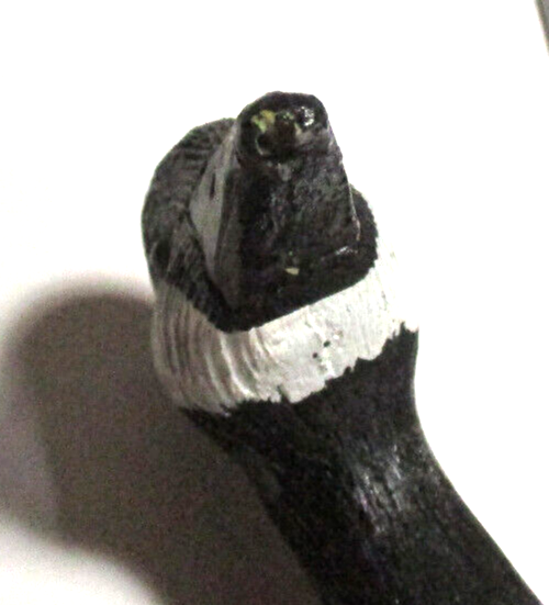 Picture 14 of 15