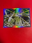Bild 77 von 111