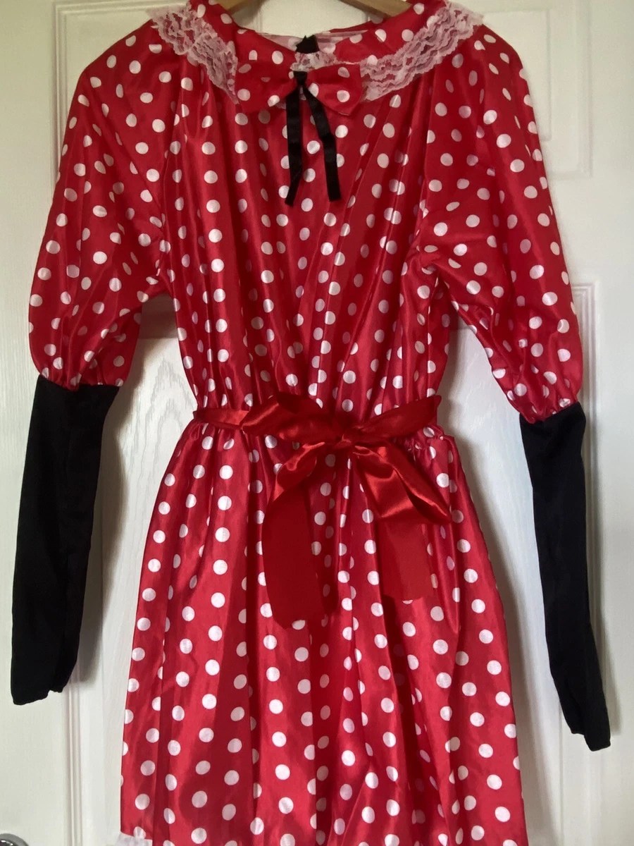 Women’s Minnie Mouse Fancy Dress