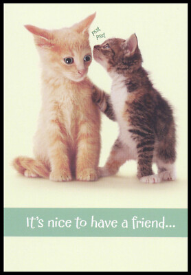 Greeting Card - Cat Kitten Tabby - For Friend - Birthday - 0279