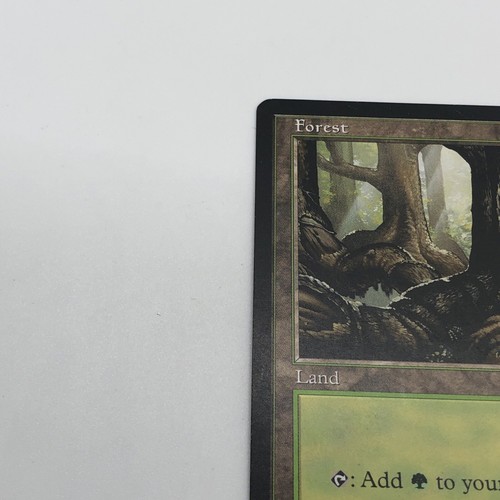 Magic The gathering Forest Pond Tempest Land Basic Land - Picture 3 of 10