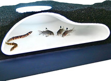 Aquarium Underground Tunnel Cave Natural Curve Viewing Fish Shrimp under Grave