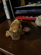 Ty Beanie Baby Paul The Walrus 1999 5th Generation Hang Tag