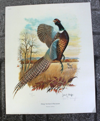 JULES E. SCHEFFER RING-NECKED PHEASANT Glossy Lithograph Pencil Signed LIMT ED