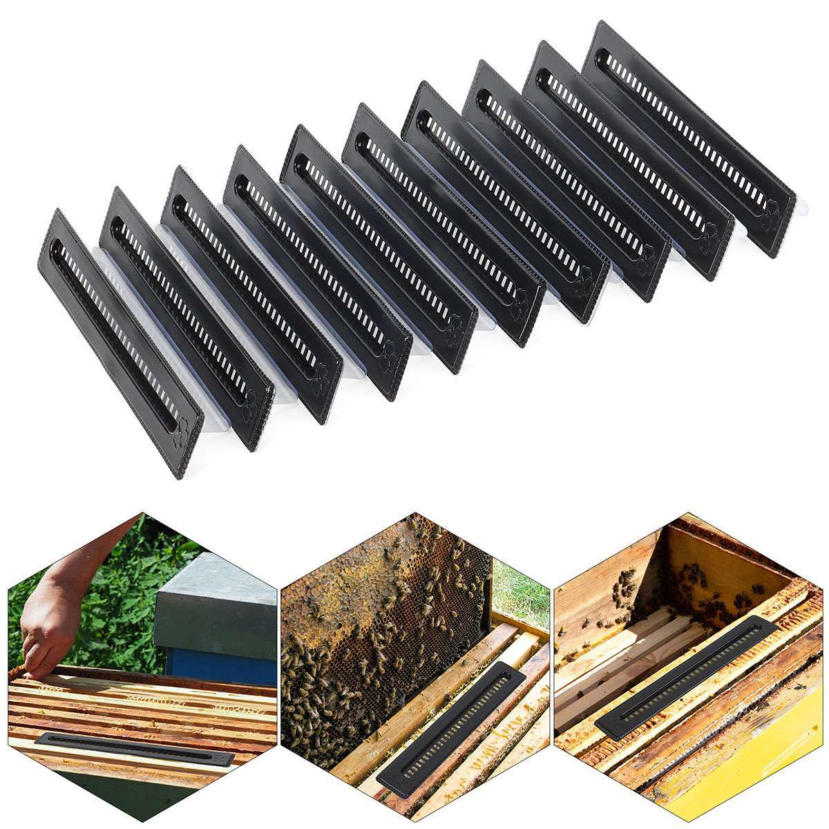 10X Small Bee Hive Beetle Blaster Bee Hive Beetle Trap Beekeeping