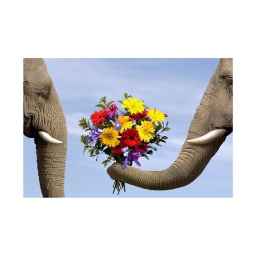 Elephants Love Flower Backdrop Decor Photographic Background 5x3ft - Afbeelding 1 van 1