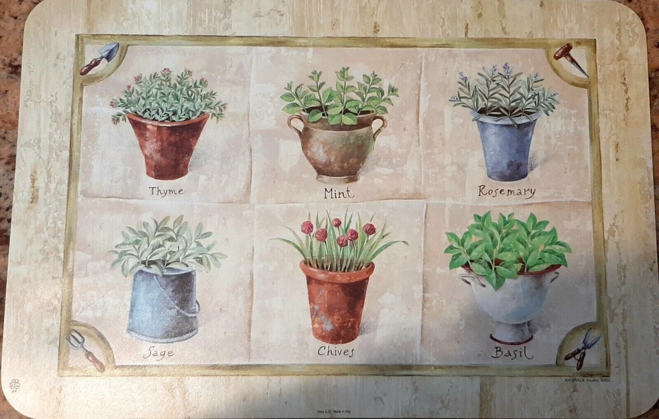 Tischset 4x Platzdeckchen Platzset Platzmatte abwaschbar 30x45cm Kräuter