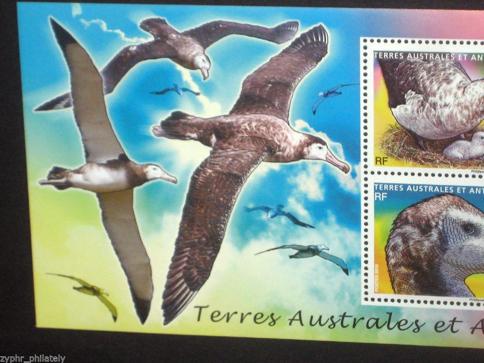 French Antarctic FSAT / TAAF - "BIRDS ~ ALBATROSS" MNH Miniature Sheet MS 2010 - Image 4 of 4