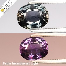  GLC CERTIFIED 1.26ct VVS Oval Natural Color Change Sapphire - Unheated, Gem