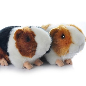 guinea pig plush