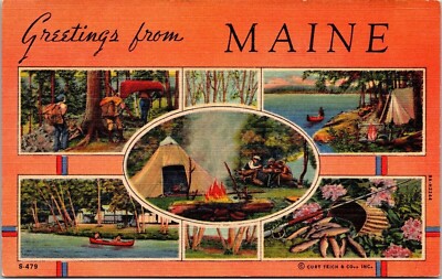 Greetings Maine Multiple Scenes Camping Canoeing Fishing Lake Forest Postcard