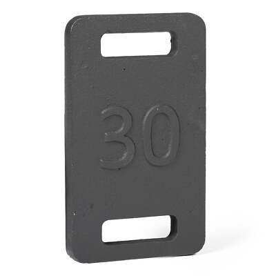 #ad Titan Fitness 30 LB Cast Iron Ruck Weight Plate Backpack Weight Training $39.97