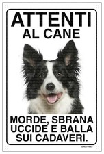 BORDER COLLIE Attenti al cane morde sbrana uccide e balla sui cadaveri 15x20