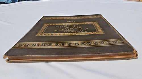 Raro Album Francobolli Nazionali: Edizione 1896, Scott Stamp & Coin, Copertina Rigida Buono - Foto 9 di 16