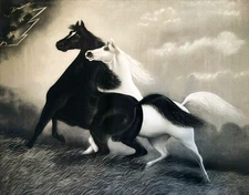 2 Spirited Horses  by J Hoover  old art