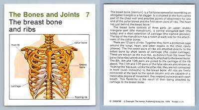 Breast Bone & Ribs #7 Bones & Joints - Home Medical Guide 1975-8 Hamlyn ...