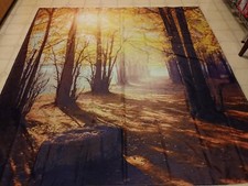 Shower Curtain Outdoors Woods Trees SUNRAYS FOREST CABIN CAMPER FARMHOUSE RUSTIC