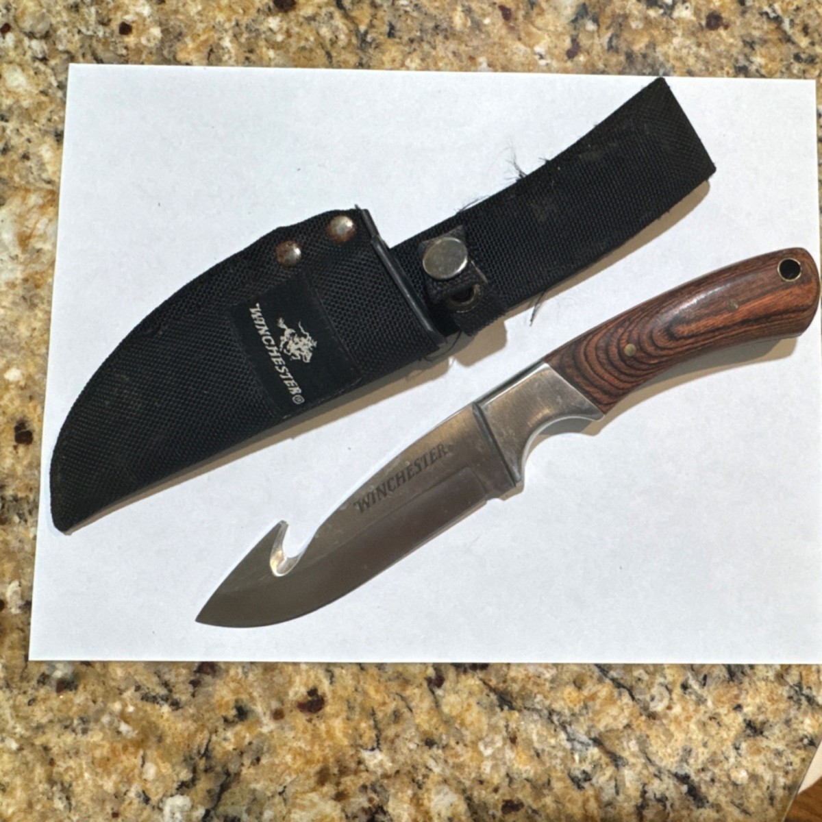 Winchester Fixed Blade Hunting Knife Wood Handle Stainless Gut