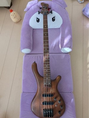 Mayones BE4 Bass Delano PU Audere Pre / E-Bassgitarre