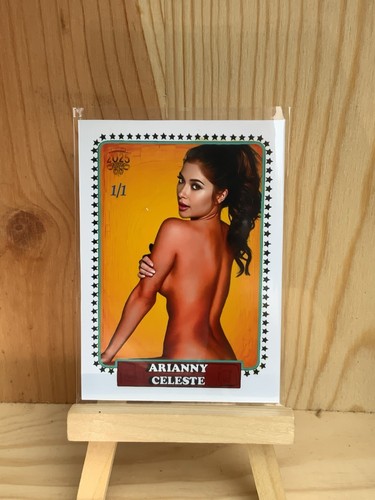 2025 P4P MMA INSCAPE ARIANNY CELESTE CUSTOM CARD 1/1 UFC ACEO