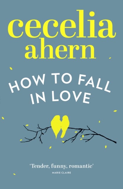 How to Fall in Love by Cecelia Ahern (Paperback Book)