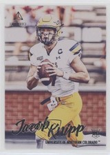 2020 Panini Luminance Rookies Jacob Knipp #199 05eo