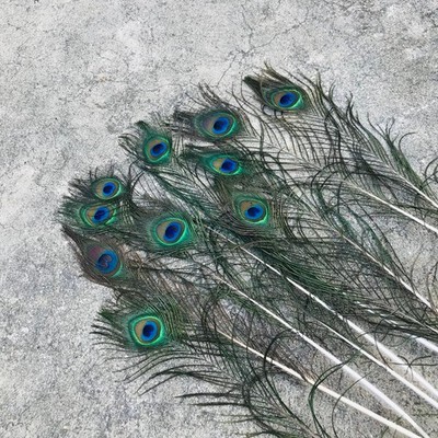 20 Pcs + 2 Pcs Gift Peacock Feathers 28'' Cm To 30 Cm