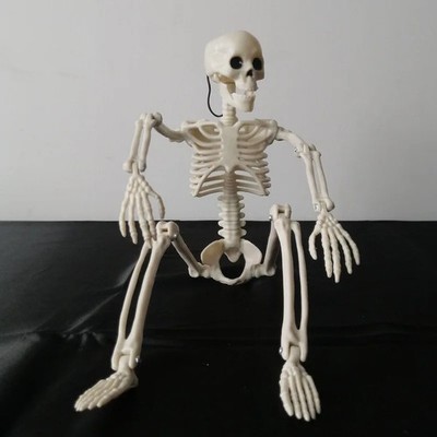 Halloween Bewegliches Menschliches Skelett 40 90cm Horror Deko Spukhaus