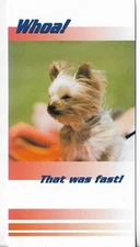 NEW LEANIN' TREE Birthday Card approx 3.5x7 Funny, Whoa! That was Fast!