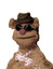 duckie3141