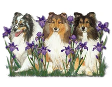 Shetland Sheepdog Sheltie Magnet Wooden