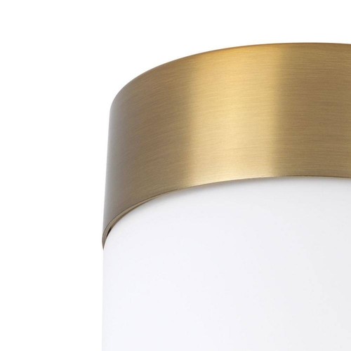 Progress Lighting Elevate 1-Light Brushed Bronze Etched White Glass Vanity Light - Picture 3 of 8