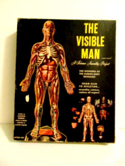 vintage 1950 Renwal Invisible Man human anatomical model | eBay