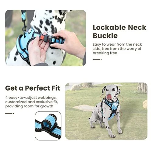 Dog Harness | No Pull Dog Harness | Reflective Oxford | Padded Large Blue