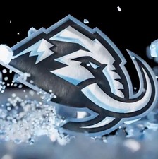 UTAH MAMMOTH VARIOUS CARDS-PICK FROM THE LIST