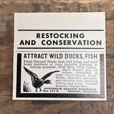 1941 WISCONSIN AQUATIC NURSERIES Vintage Print Ad Oshkosh WI Wild Ducks Fish