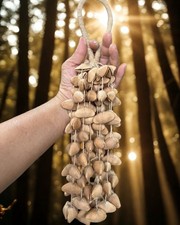 【Import Duties Apply】Natural Shell Hand R...
