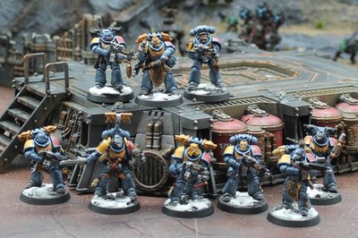 Space Marines  Space Wolves 9x Intercessors - Well Painted #6947