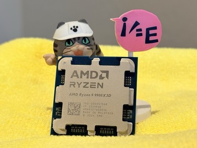 AMD Ryzen 9 9900X3D 12-Core 4.4GHz AM5 Desktop CPU 100-0000001368