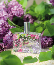 Narcisse Fragonard perfume - a fragrance for women 2023