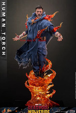 Hottoys Mms789 Human Torch Deadpool&Wolverine 1/6 30cm Action Figure New Toys
