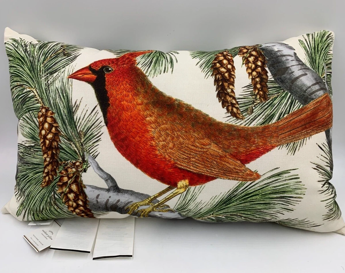 Cardinal pillow pottery clearance barn