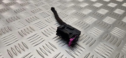 Rear door wiring loom