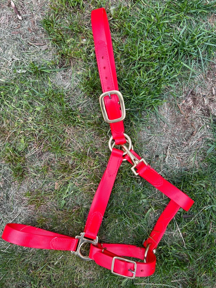 Halter sintético Leaders para tamanho completo/cavalo! 8 ótimas cores! - Imagem 3 de 4