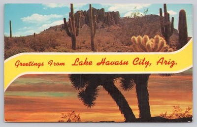 Vintage Greetings from Lake Havasu City Arizona Desert Scene Postcard