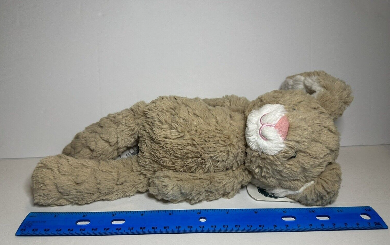 Picture 8 of 8
