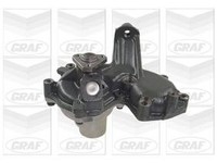 1 X Wasserpumpe Graf Pompy Wody/Water Pupms PA733 FüR