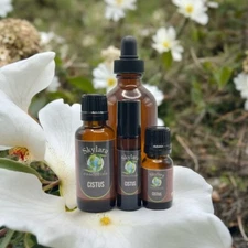 100% Pure Organic Cistus (Rock Rose) Essential Oil FREE SHIPPING